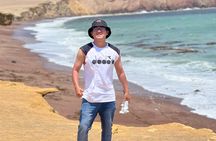 PARACAS! Ballestas Islands + Paracas National Reserve + Candelabro and much more