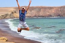 PARACAS! Ballestas Islands + Paracas National Reserve + Candelabro and much more