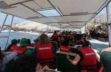 Full Day Paracas Islas Ballestas with Sandboarding and Dune Buggy