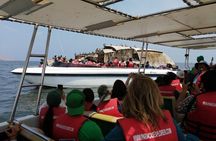 Full Day Paracas Islas Ballestas with Sandboarding and Dune Buggy