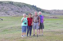 Half Day Chasing Horses Wildlife Photography Experience in North Dakota