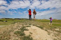 Half Day Chasing Horses Wildlife Photography Experience in North Dakota
