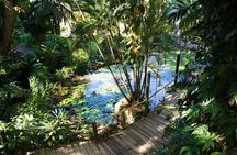 Full Day Nadi Discover Tour ( From Sigatoka Coral coast Hotels )