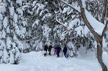 Private Snow Shoe Tour in Shiretoko National Park