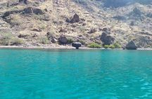Islands of Loreto PRIVATE TOUR (Danzante y Sur de Carmen)