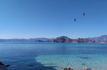 Islands of Loreto PRIVATE TOUR (Danzante y Sur de Carmen)