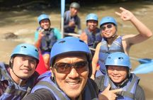 Bali Rafting with Tegalalang Rice Terrace Jungle Swing Ubud