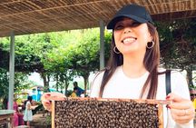  Small Group Tour to Cu Chi Tunnels and cruise Mekong Delta in a day