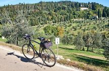Active Full Day Tuscan Bike Tour With Wine Tasting and Lunch