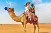 Half-Day Private Morning Desert Safari by 4x4 Car