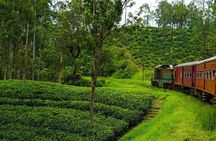Delights of Sri Lanka