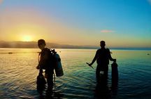 Discover Scuba Diving - Indroductory Dives