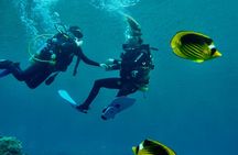 Discover Scuba Diving - Indroductory Dives