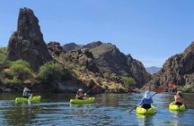 Scenic Guided Kayaking Tour on Saguaro Lake