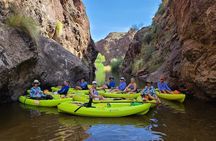 Scenic Guided Kayaking Tour on Saguaro Lake