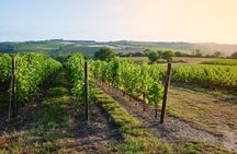 Loire Valley Wine Tour in Chinon & Bourgueil