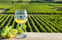 Loire Valley Wine Tour in Chinon & Bourgueil