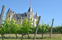 Loire Valley Wine Tour in Chinon & Bourgueil