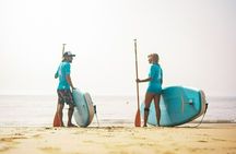 Sup Experiences in the ocean