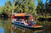Private Tour to Xochimilco, Coyoacan and Frida Kahlo Museum