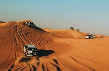 Half-Day Private Morning Desert Safari by 4x4 Car