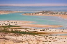 Cairo to Fayoum Oasis and Wadi Al Rian Tour