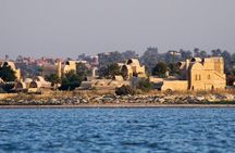 Cairo to Fayoum Oasis and Wadi Al Rian Tour