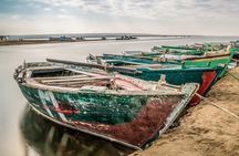 Cairo to Fayoum Oasis and Wadi Al Rian Tour