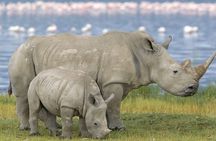 2-Day Drakensberg Mountains & Tala Game Reserve Tour from Durban