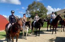 Private Tour - Horse Riding, Wine Tasting and Art Trail 