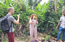 Banana Plantation / Black Sand Beach Experience