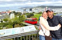 Spectacular Wellington: Half Day Private Sightseeing Tour