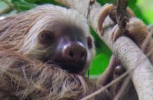 Cahuita National Park Hiking