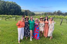 Montville, Maleny and Sunshine Coast Hinterland Tour with Lunch