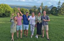 Noosa Hinterland Tour with Lunch, Wine & Cheese Tasting & more