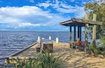 Noosa Hinterland Tour with Lunch, Wine & Cheese Tasting & more