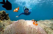 Snorkeling Full Day Experience from Bangkok