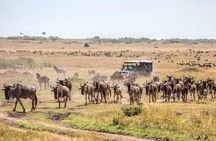 6-Day Private Landcruiser Safari to Masai Mara, Nakuru & Amboseli