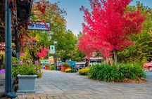 Full Day Adelaide Private Guided Tour 