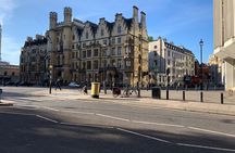 Full Day Private Historical Tour in London