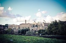 Ancient Rome Guided Walking Tour: Colosseum, Forum and Palatine