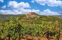 Istrian Inland: Motovun and Grožnjan half day tour (From Rovinj)