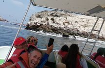 Full Day Paracas Islas Ballestas with Sandboarding and Dune Buggy