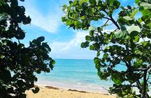 Hidden Fresh Spring of Water+ Cave+ Beach & Food Full Day Tour