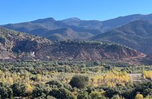 Shared Day Trip From Casablanca to Atlas Mountain 