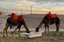 Shared Day Trip From Casablanca to Atlas Mountain 