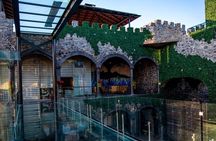 Private Full-Day Tour to Tequila Visiting El Castillo de Tequila