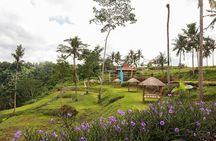 All-Inclusive Ubud Bali Private Full-Day Tour