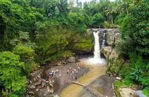 All-Inclusive Ubud Bali Private Full-Day Tour