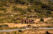 Guided Trek to Laguna Esmeralda with Lunch